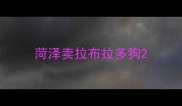 菏泽卖拉布拉多狗