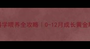 金毛幼犬科学喂养全攻略0-12月成长黄金期饮食指南