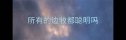 所有的边牧都聪明吗