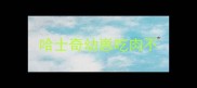 哈士奇幼崽吃肉不