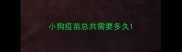 小狗疫苗总共需要多久