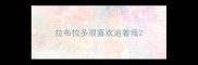 拉布拉多很喜欢追着我