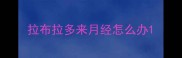 拉布拉多来月经怎么办