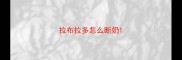 拉布拉多怎么断奶