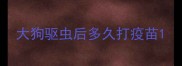 大狗驱虫后多久打疫苗