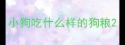 小狗吃什么样的狗粮