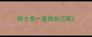 哈士奇一直挠自己窝