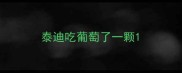 泰迪吃葡萄了一颗