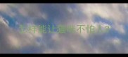 怎样能让猫咪不怕人