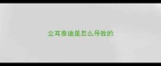 立耳泰迪是怎么导致的