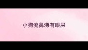 小狗流鼻涕有眼屎