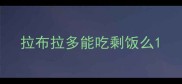 拉布拉多能吃剩饭么