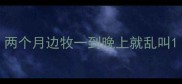 两个月边牧一到晚上就乱叫