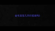 金毛宝宝几天打疫苗吗