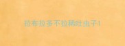 拉布拉多不拉稀吐虫子