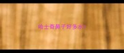 哈士奇鼻子好多水