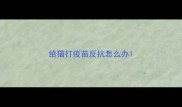 给猫打疫苗反抗怎么办