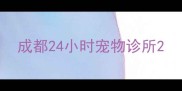 成都24小时宠物诊所