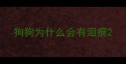 狗狗为什么会有泪痕