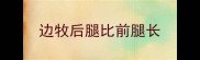 边牧后腿比前腿长