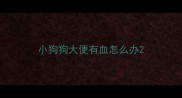 小狗狗大便有血怎么办