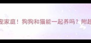 5步打造多宠家庭狗狗和猫能一起养吗附超全避坑指南