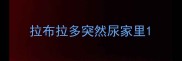 拉布拉多突然尿家里