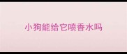 小狗能给它喷香水吗