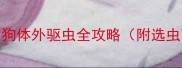 3步搞定小狗体外驱虫全攻略附选虫药避坑指南