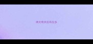 神犬奇兵拉布拉多
