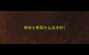 帮哈士奇取什么名字好