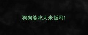 狗狗能吃大米饭吗