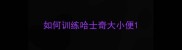 如何训练哈士奇大小便