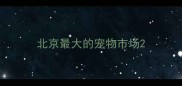 北京最大的宠物市场