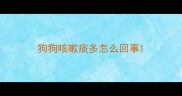 狗狗咳嗽痰多怎么回事