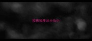 拉布拉多从小头小