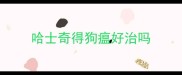 哈士奇得狗瘟好治吗