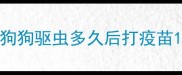 狗狗驱虫多久后打疫苗