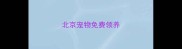 北京宠物免费领养