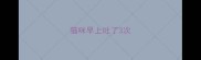 猫咪早上吐了3次