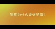 狗狗为什么要做绝育