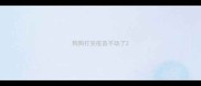 狗狗打完疫苗不动了