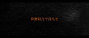 萨摩耶几个月毛长