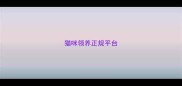 猫咪领养正规平台