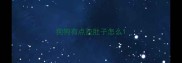 狗狗有点拉肚子怎么