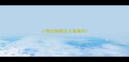 小狗拉稀喂庆大霉素吗