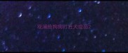 观澜给狗狗打狂犬疫苗
