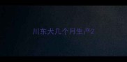 川东犬几个月生产