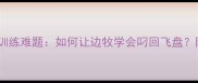 边境牧羊犬飞盘训练难题如何让边牧学会叼回飞盘附专业训练指南