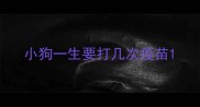 小狗一生要打几次疫苗